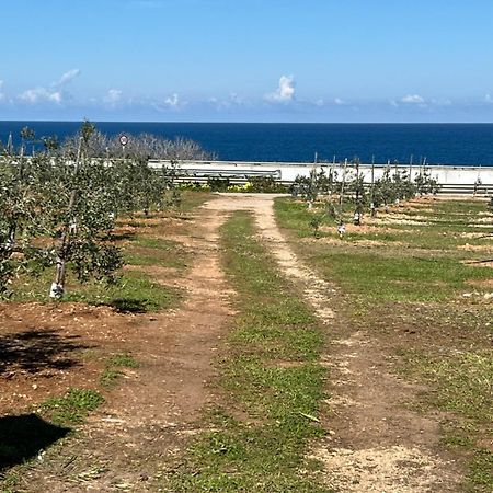 Dimora Villa Polignano a Mare Dış mekan fotoğraf