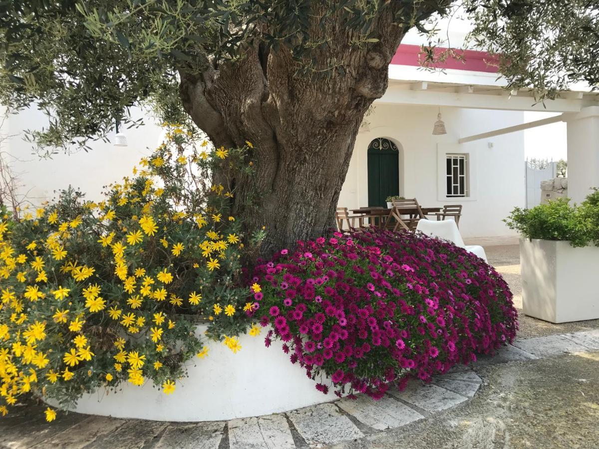 Dimora Villa Polignano a Mare Dış mekan fotoğraf